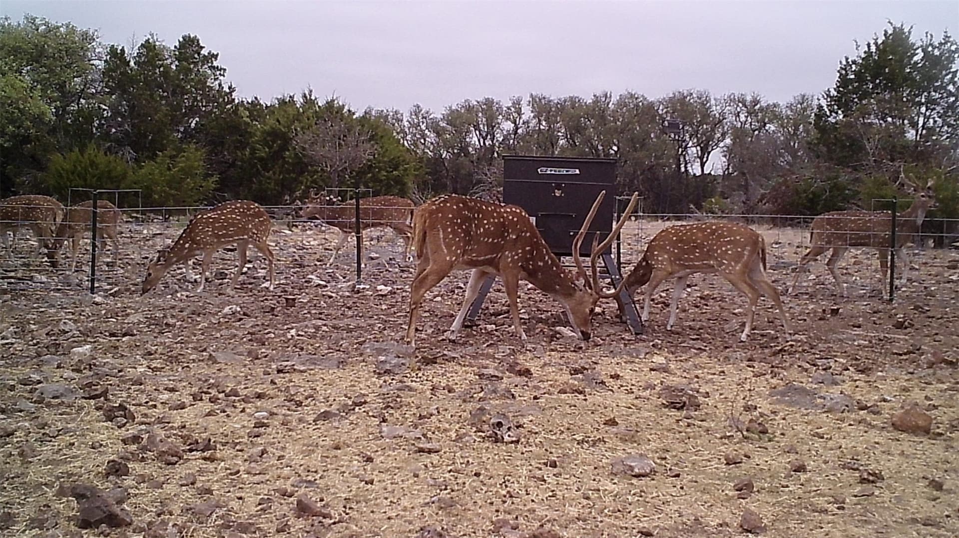 107.23 acres in Edwards County - photo 19