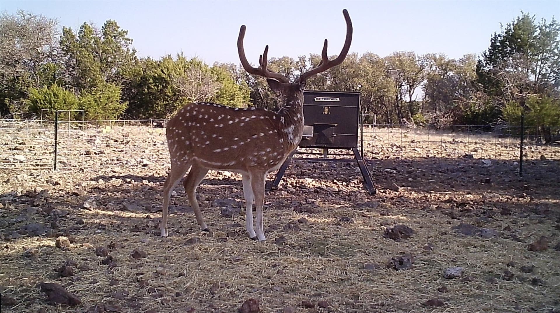 107.23 acres in Edwards County - photo 15