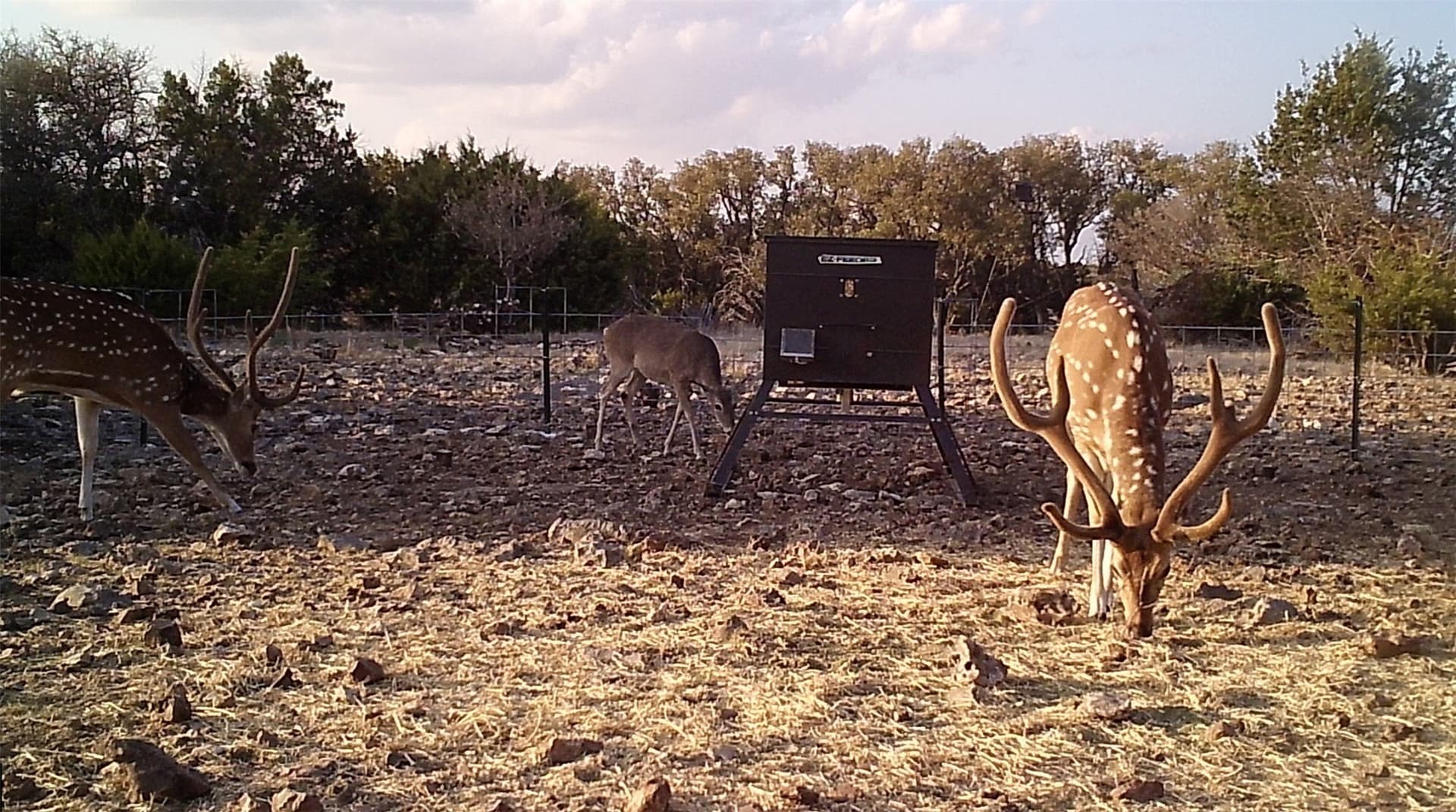 107.23 acres in Edwards County - photo 17
