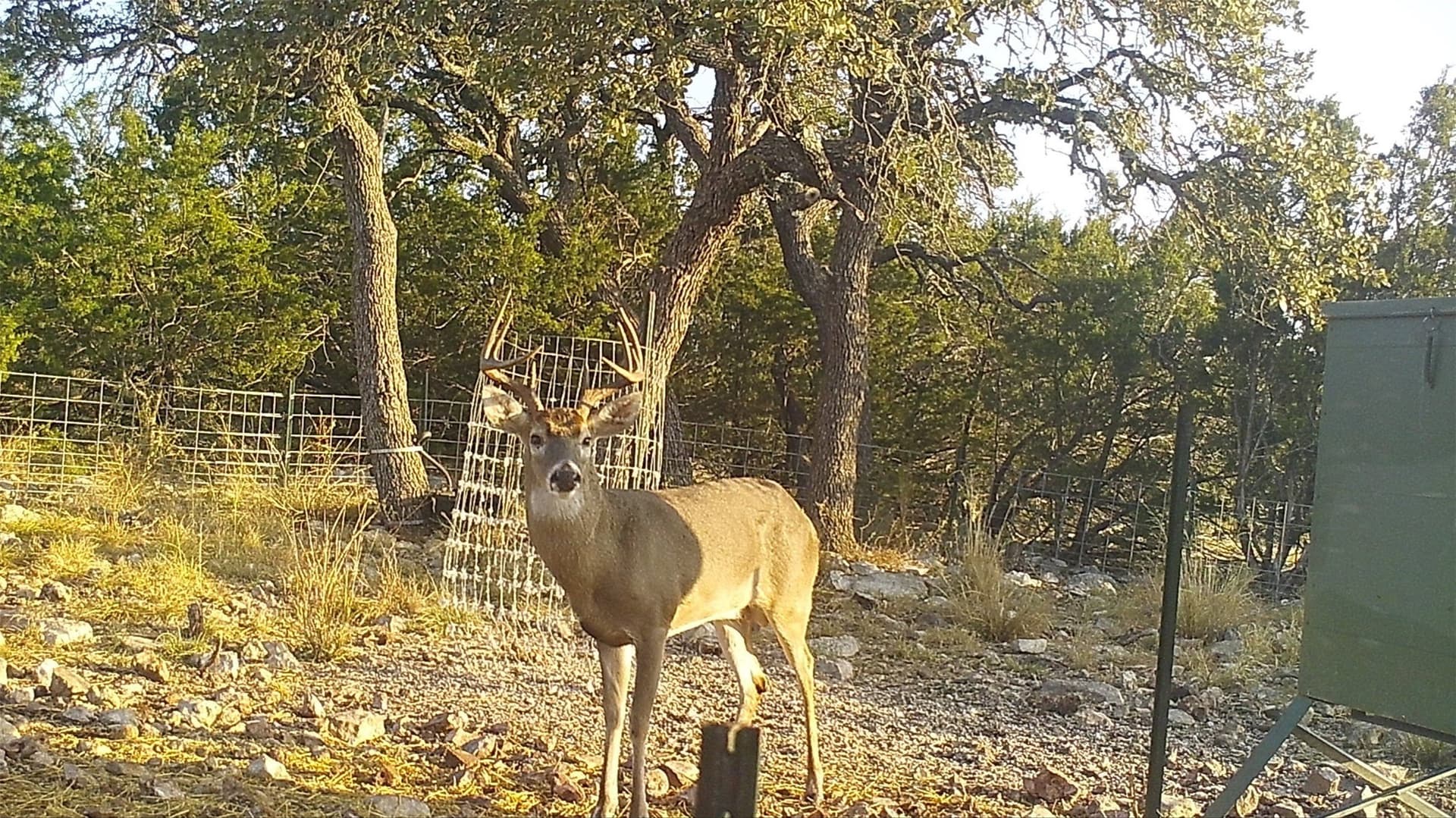 107.23 acres in Edwards County - photo 14
