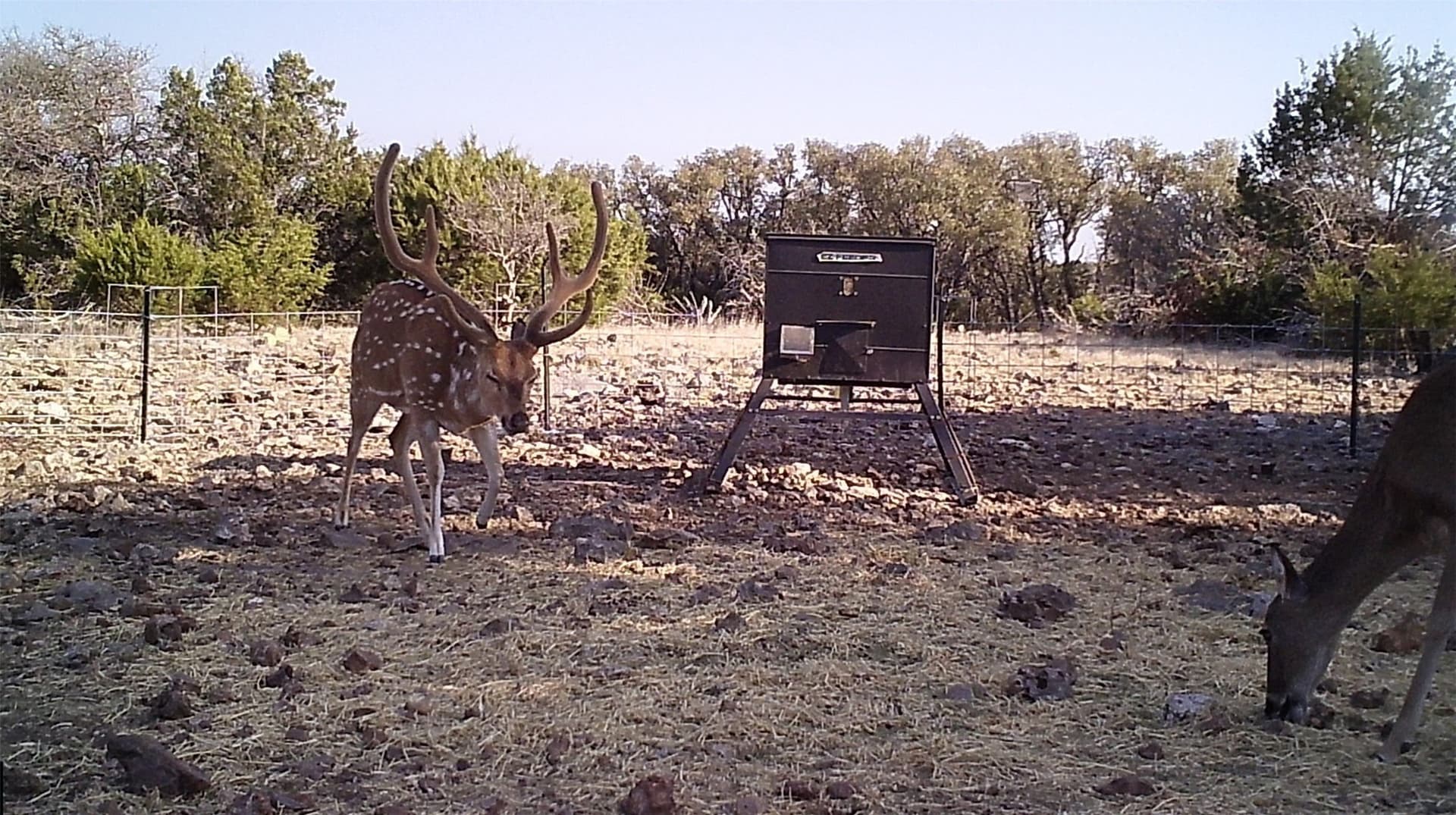 107.23 acres in Edwards County - photo 6