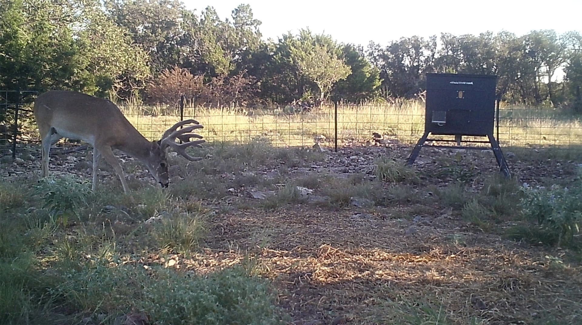 107.23 acres in Edwards County - photo 11