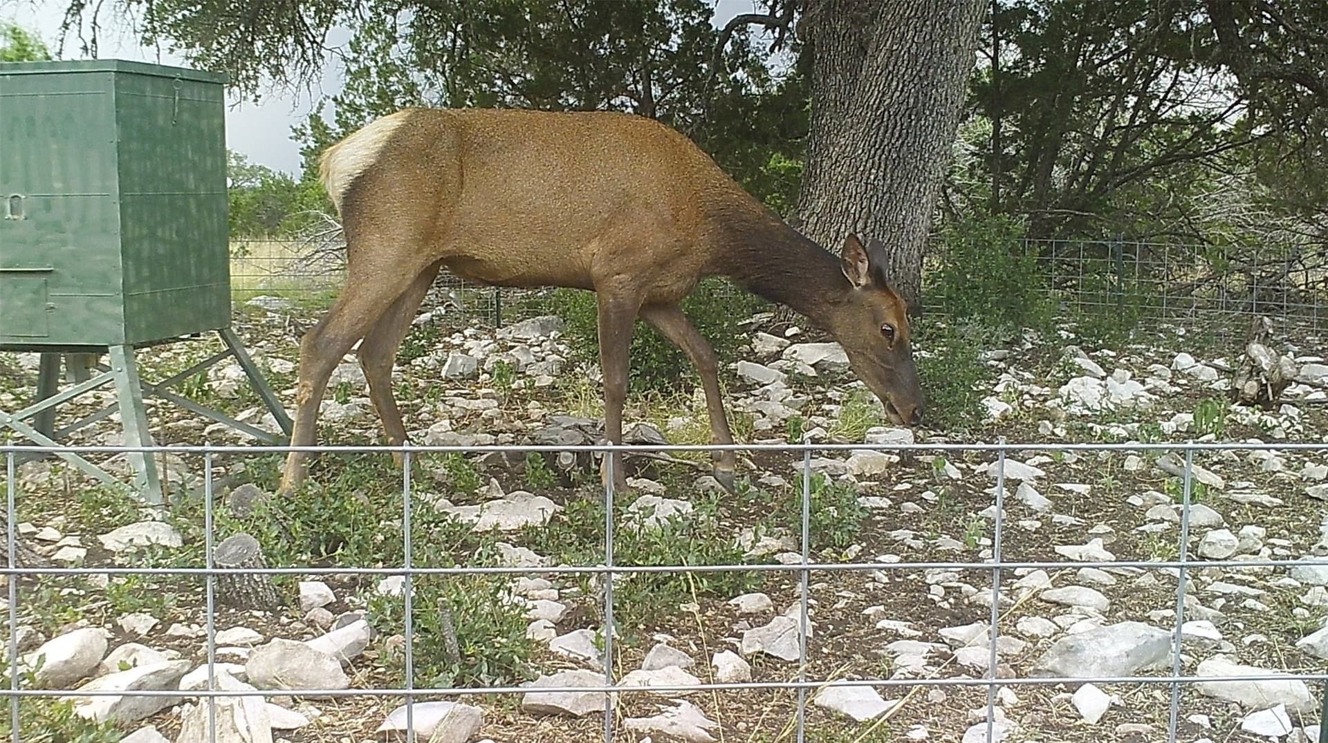 107.23 acres in Edwards County - photo 18