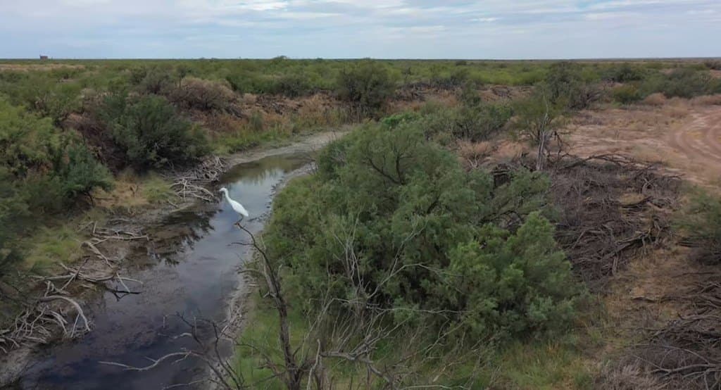 10.27 acres in Ward County - photo 13