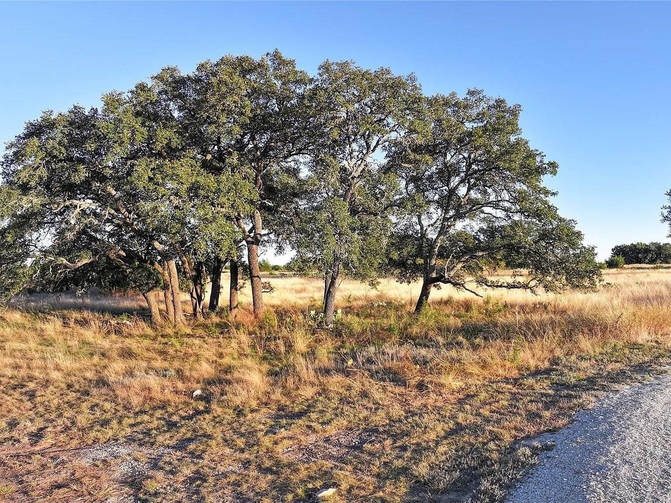 12.42 acres in Burnet County gallery image 3