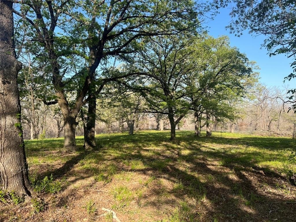 6.66 acres in Fannin County