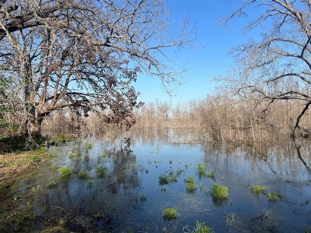 6.66 acres in Fannin County gallery image 3
