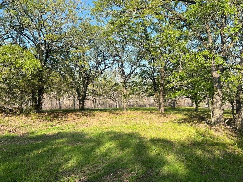 6.66 acres in Fannin County gallery image 2