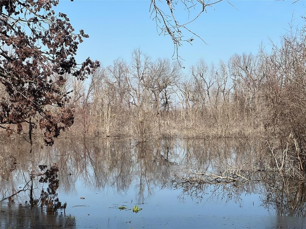 6.66 acres in Fannin County gallery image 4