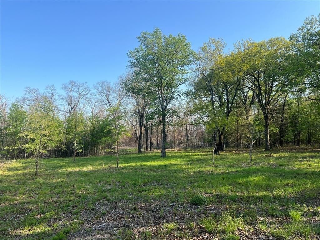6.66 acres in Fannin County featured view
