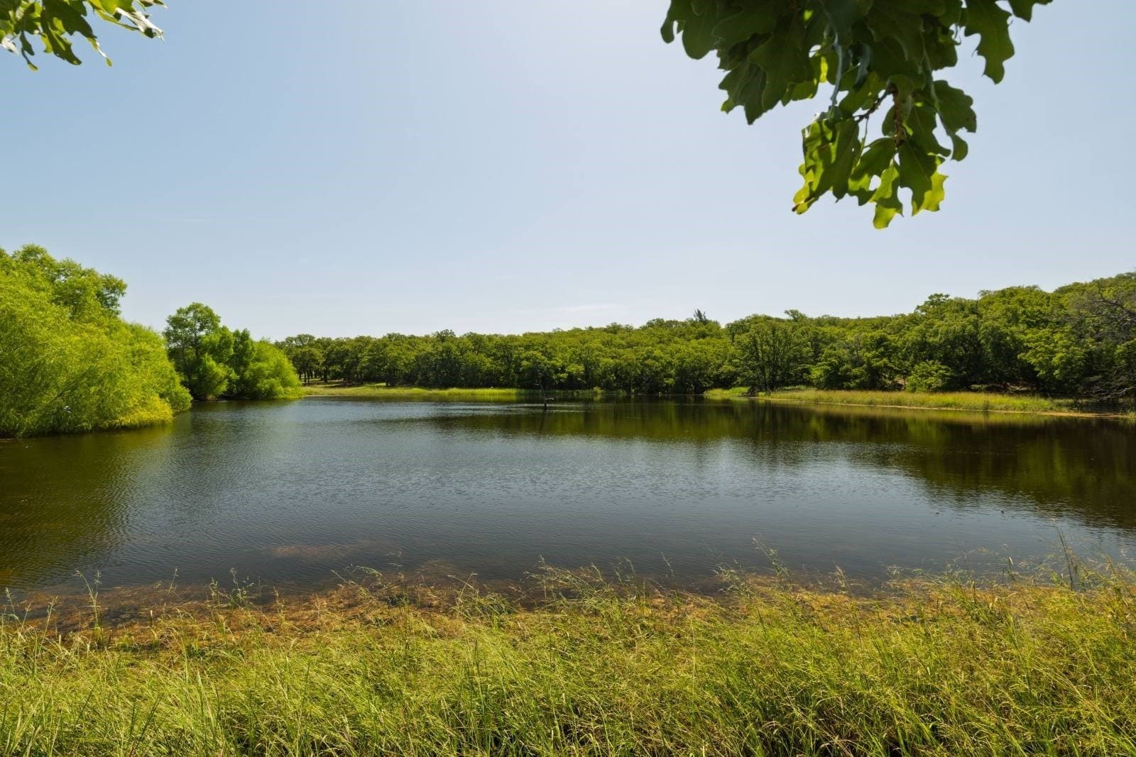 74.62 acres in Montague County - photo 35
