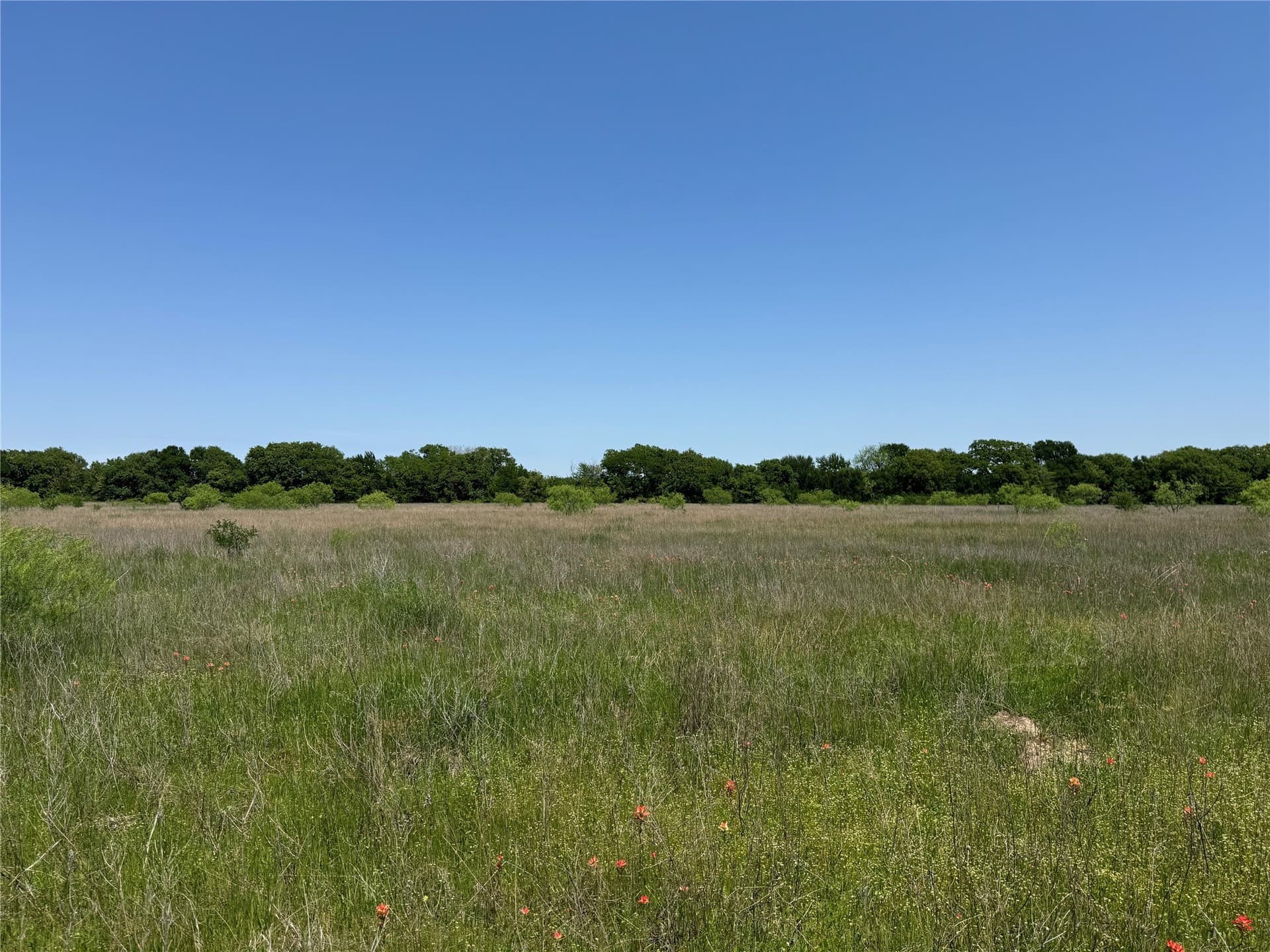 2.82 acres in McLennan County - photo 7