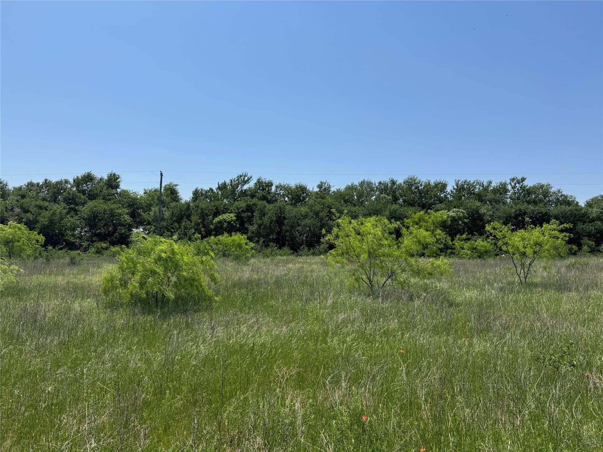 2.82 acres in McLennan County - photo 6