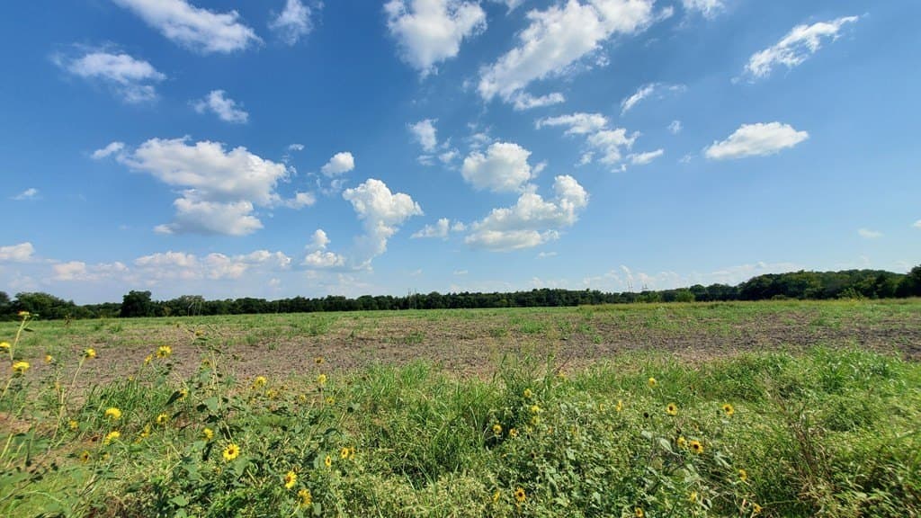 23.79 acres in Navarro County - photo 30