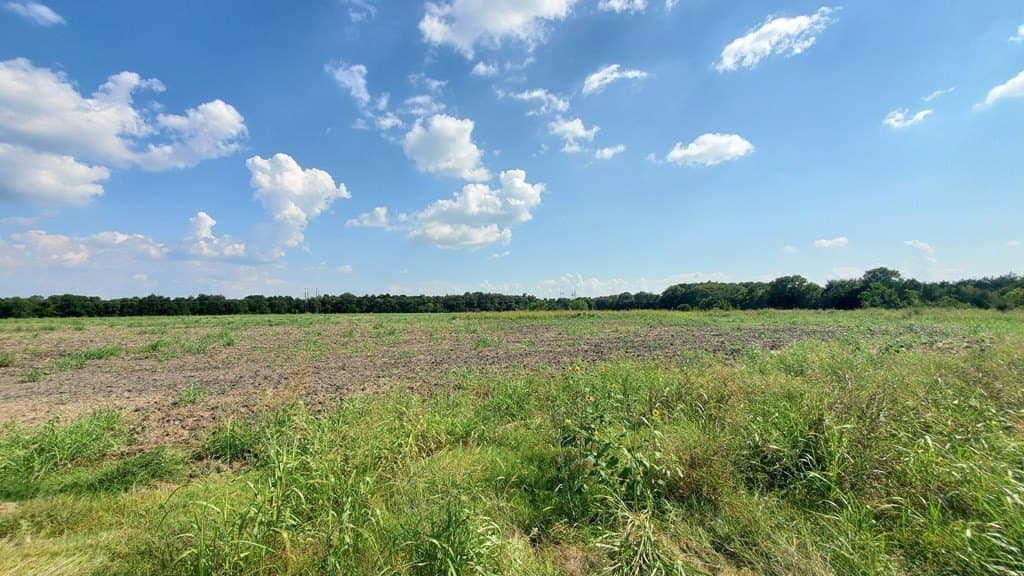 23.79 acres in Navarro County - photo 27