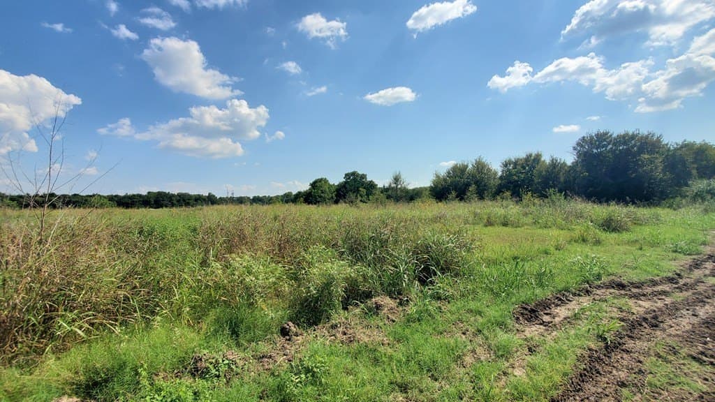23.79 acres in Navarro County - photo 19