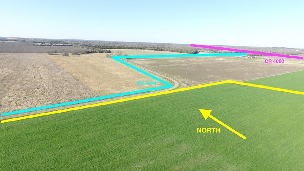23.79 acres in Navarro County gallery image 3