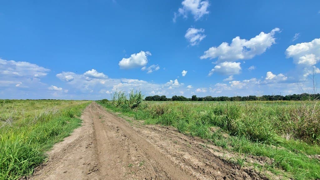 23.79 acres in Navarro County - photo 17