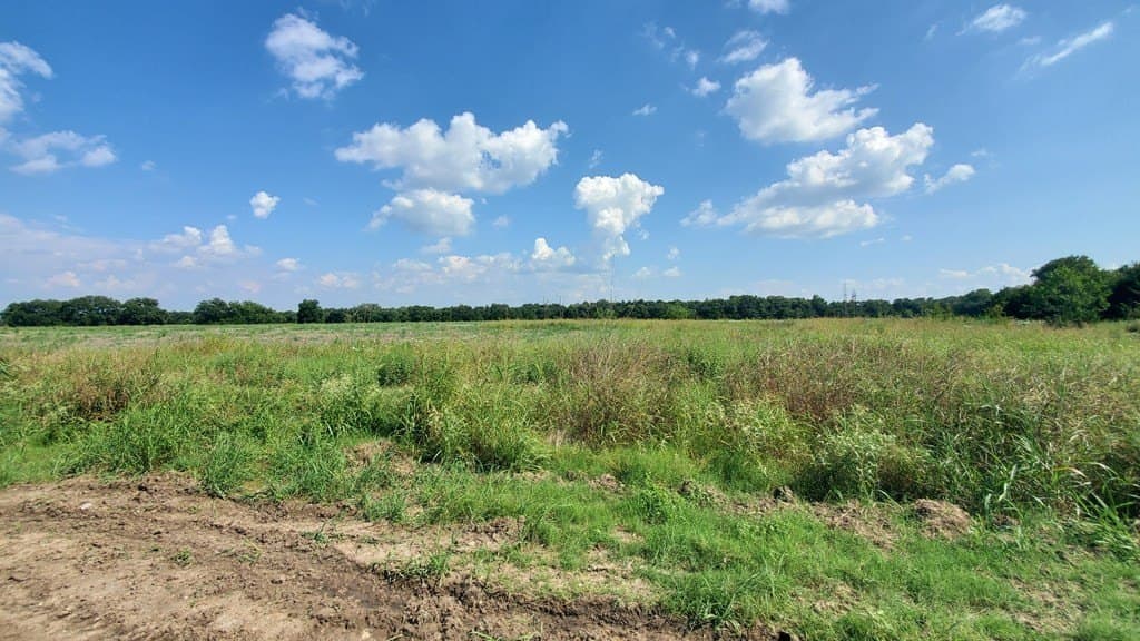 23.79 acres in Navarro County - photo 18