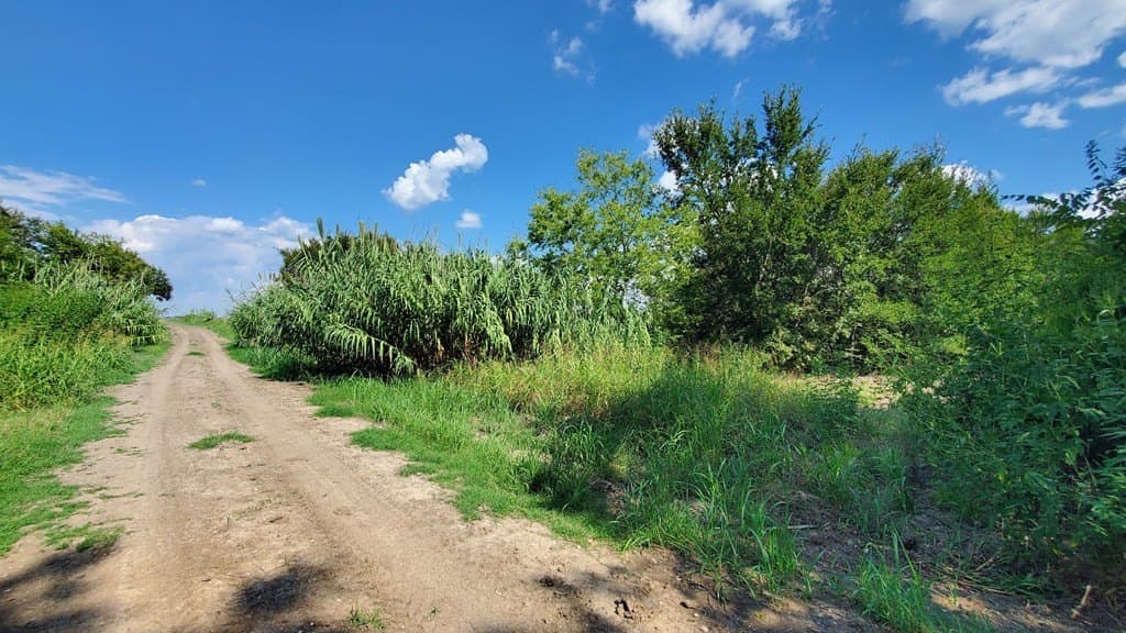 23.79 acres in Navarro County - photo 34
