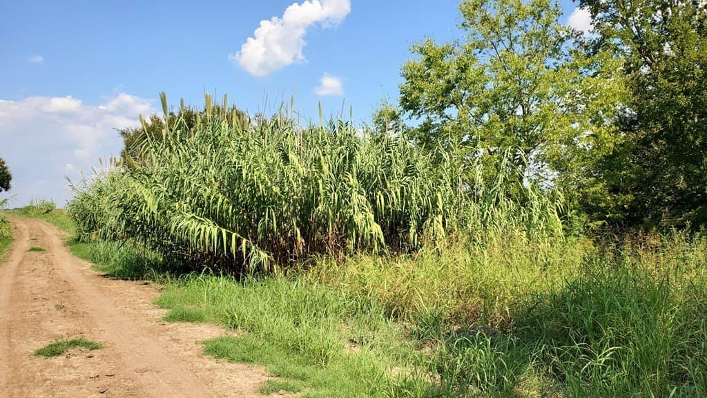 23.79 acres in Navarro County - photo 35