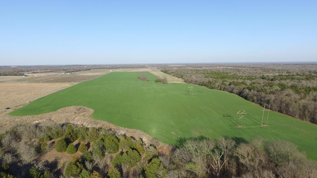 23.79 acres in Navarro County - photo 10