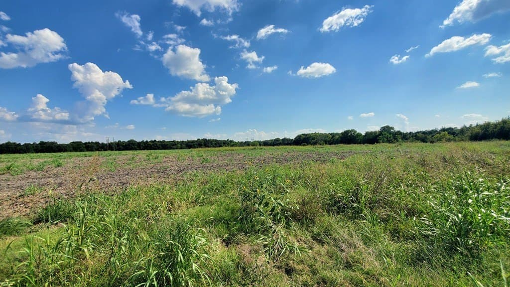 23.79 acres in Navarro County - photo 25