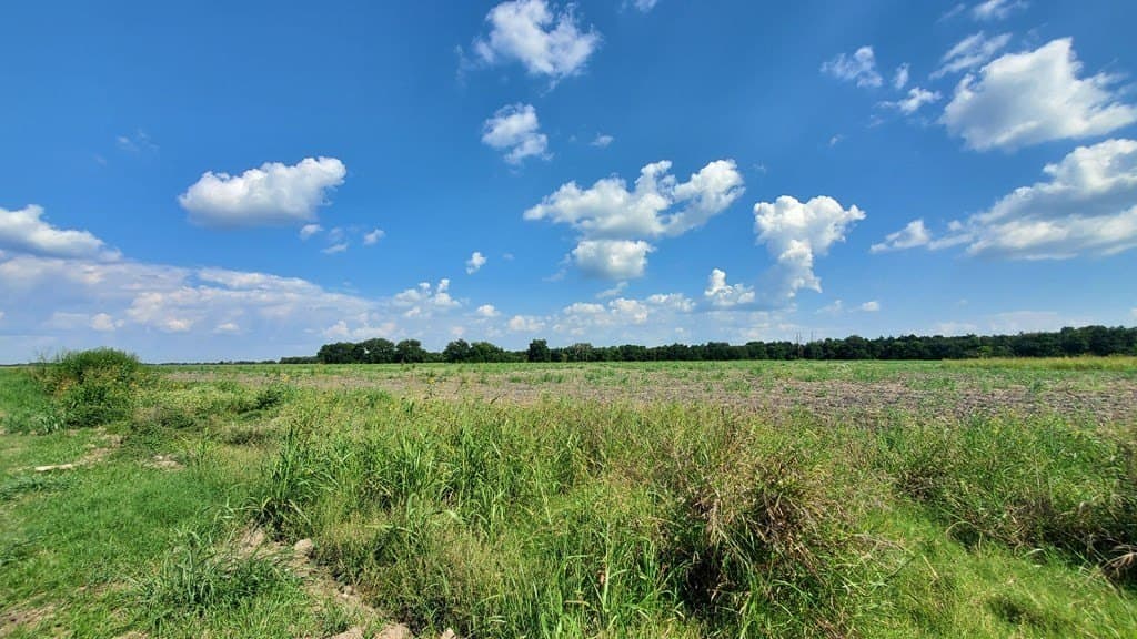 23.79 acres in Navarro County - photo 22