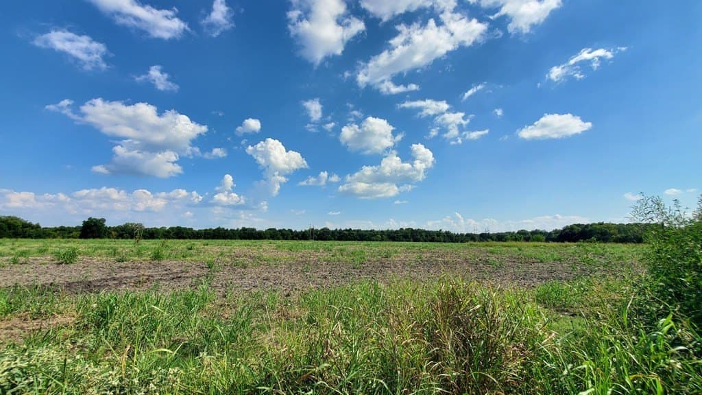 23.79 acres in Navarro County - photo 31