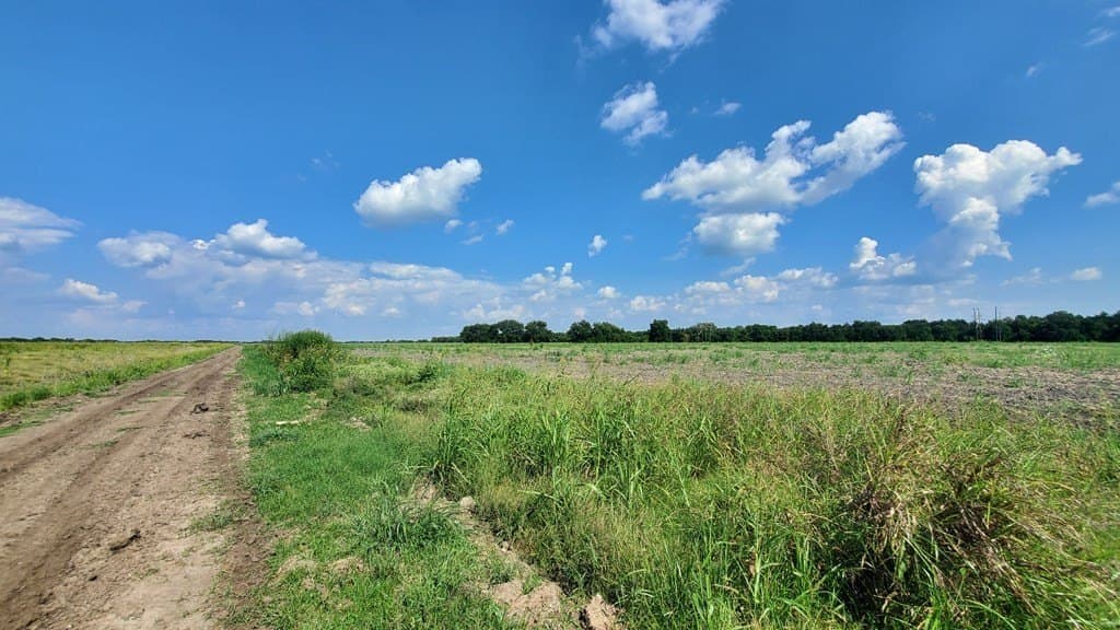 23.79 acres in Navarro County - photo 23