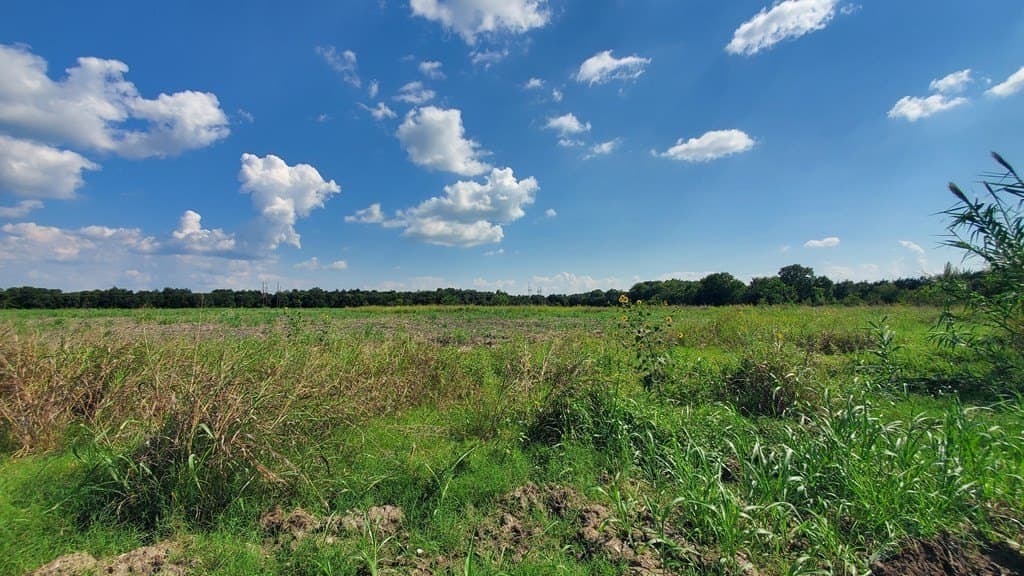 23.79 acres in Navarro County - photo 21
