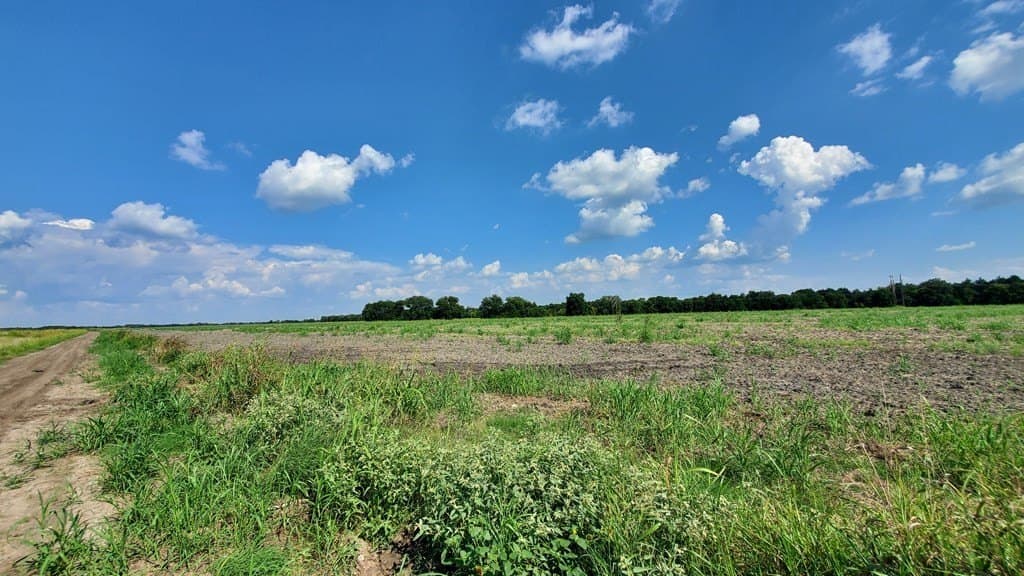23.79 acres in Navarro County - photo 32