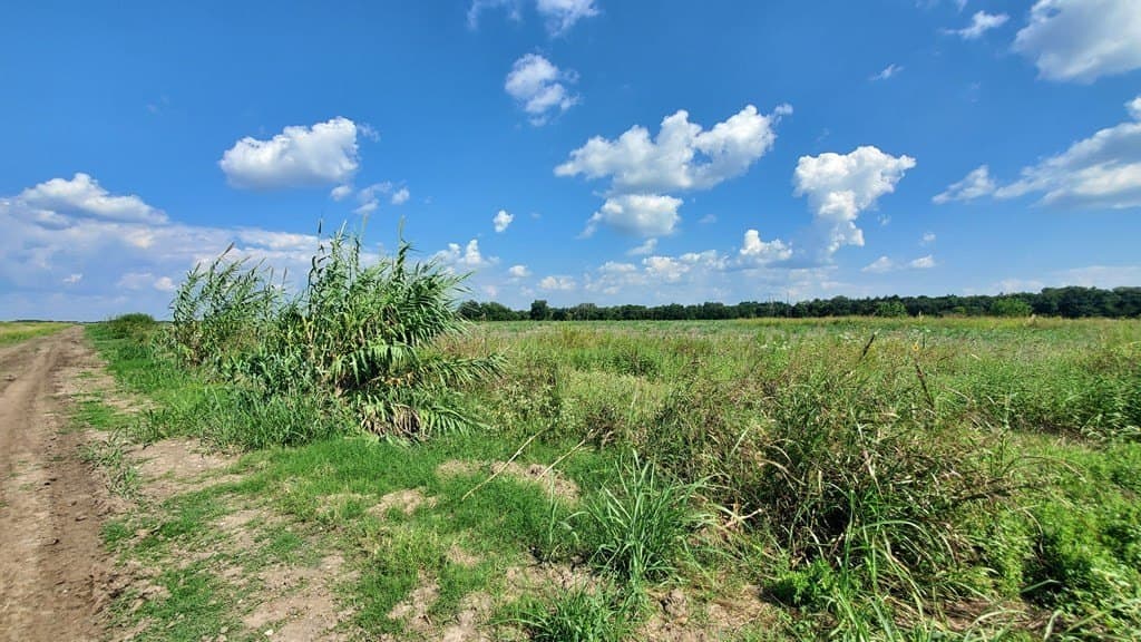 23.79 acres in Navarro County - photo 20