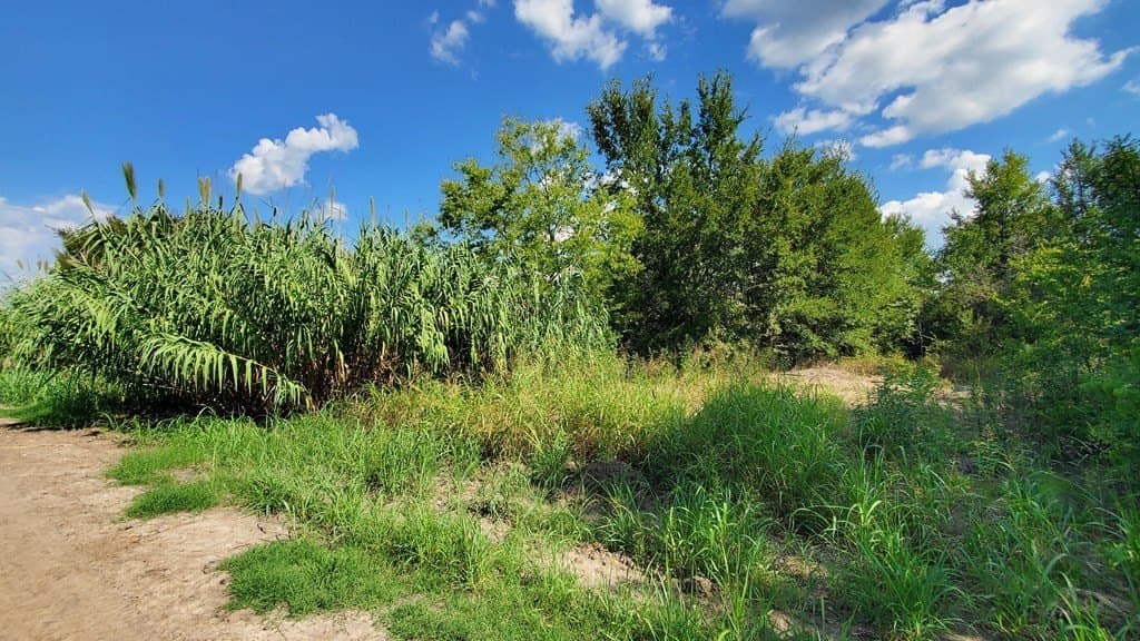 23.79 acres in Navarro County - photo 37