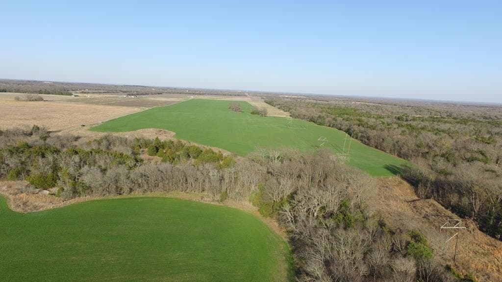 23.79 acres in Navarro County - photo 14