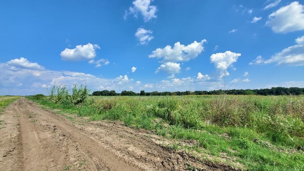 23.79 acres in Navarro County - photo 38