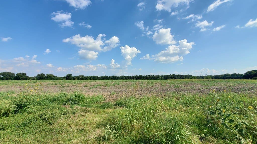 23.79 acres in Navarro County - photo 24