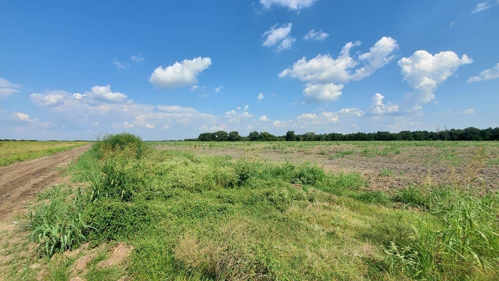 23.79 acres in Navarro County - photo 29