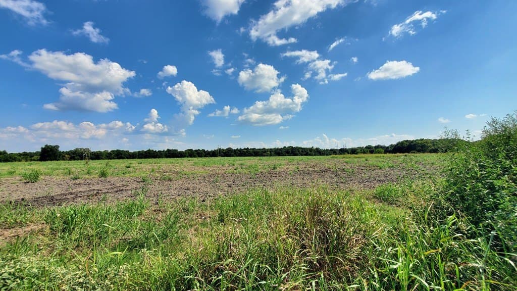 23.79 acres in Navarro County - photo 33
