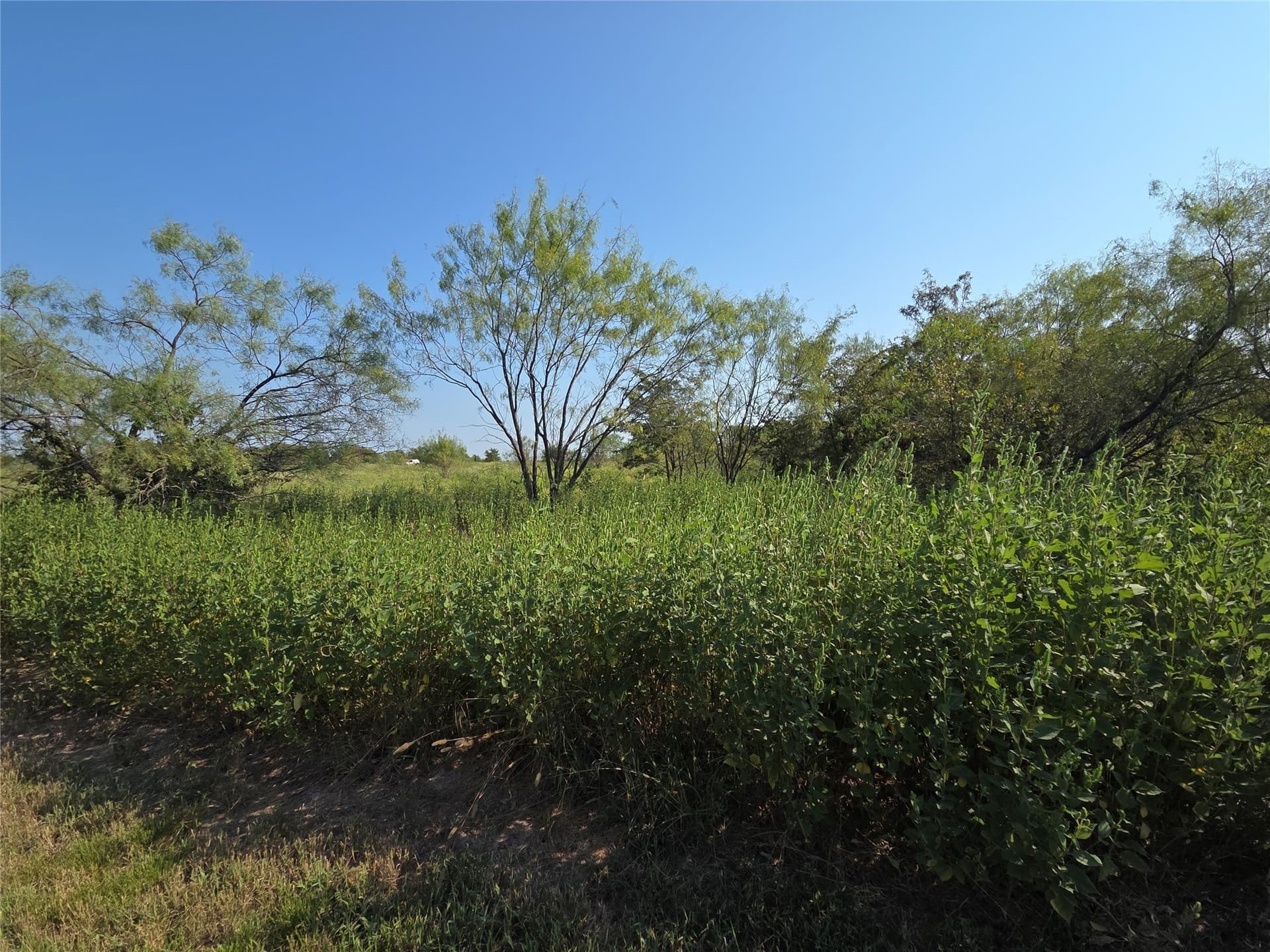 1.22 acres in Navarro County - photo 5