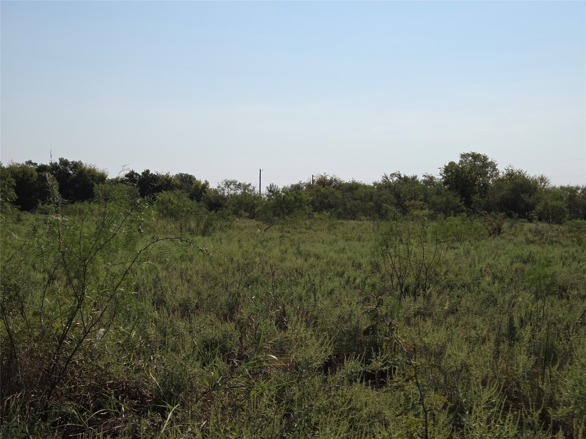 1.22 acres in Navarro County - photo 28