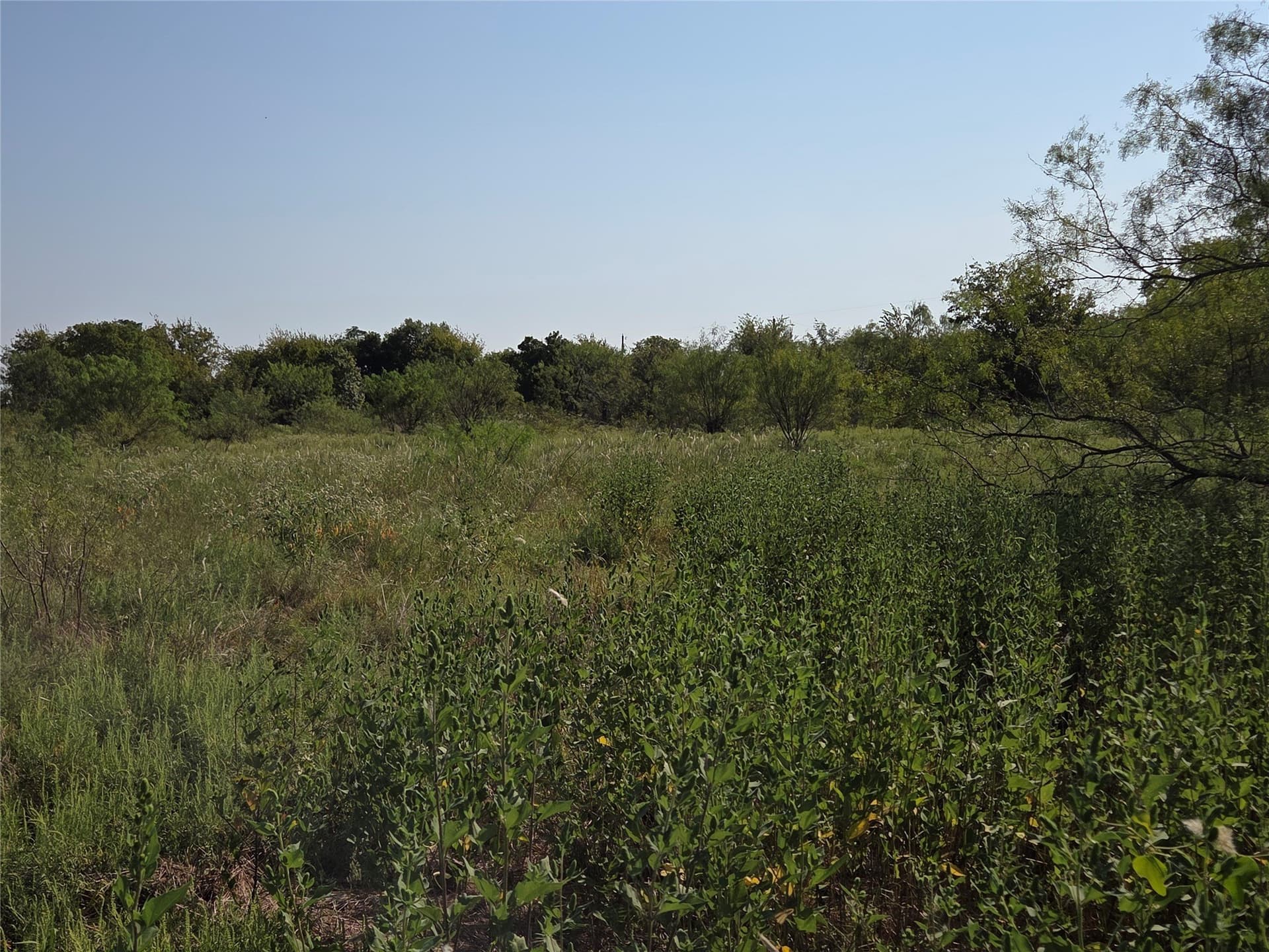 1.22 acres in Navarro County - photo 36