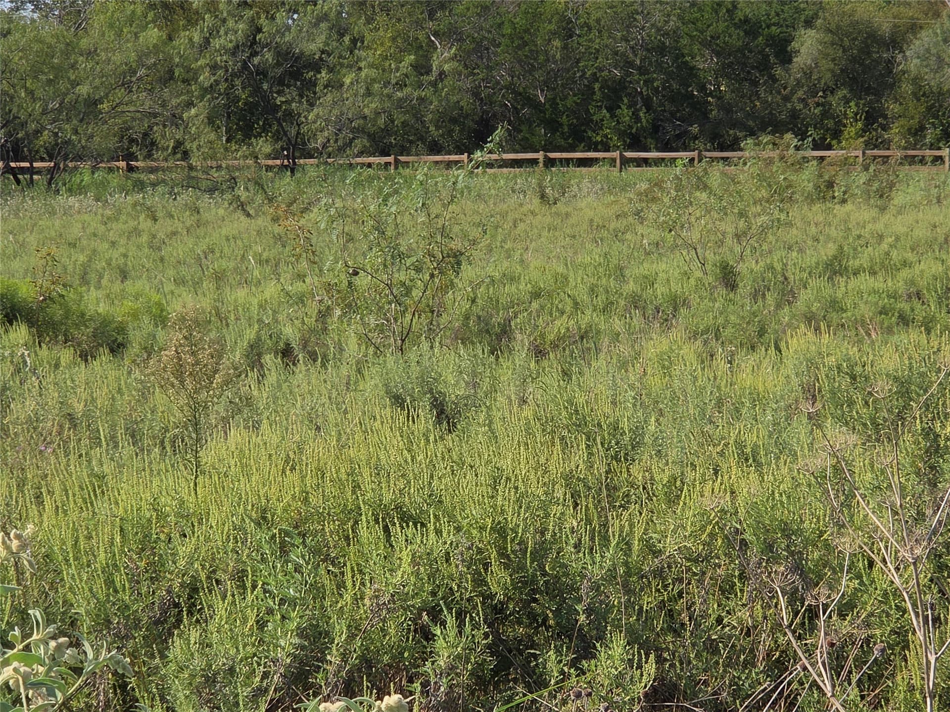 1.22 acres in Navarro County - photo 29