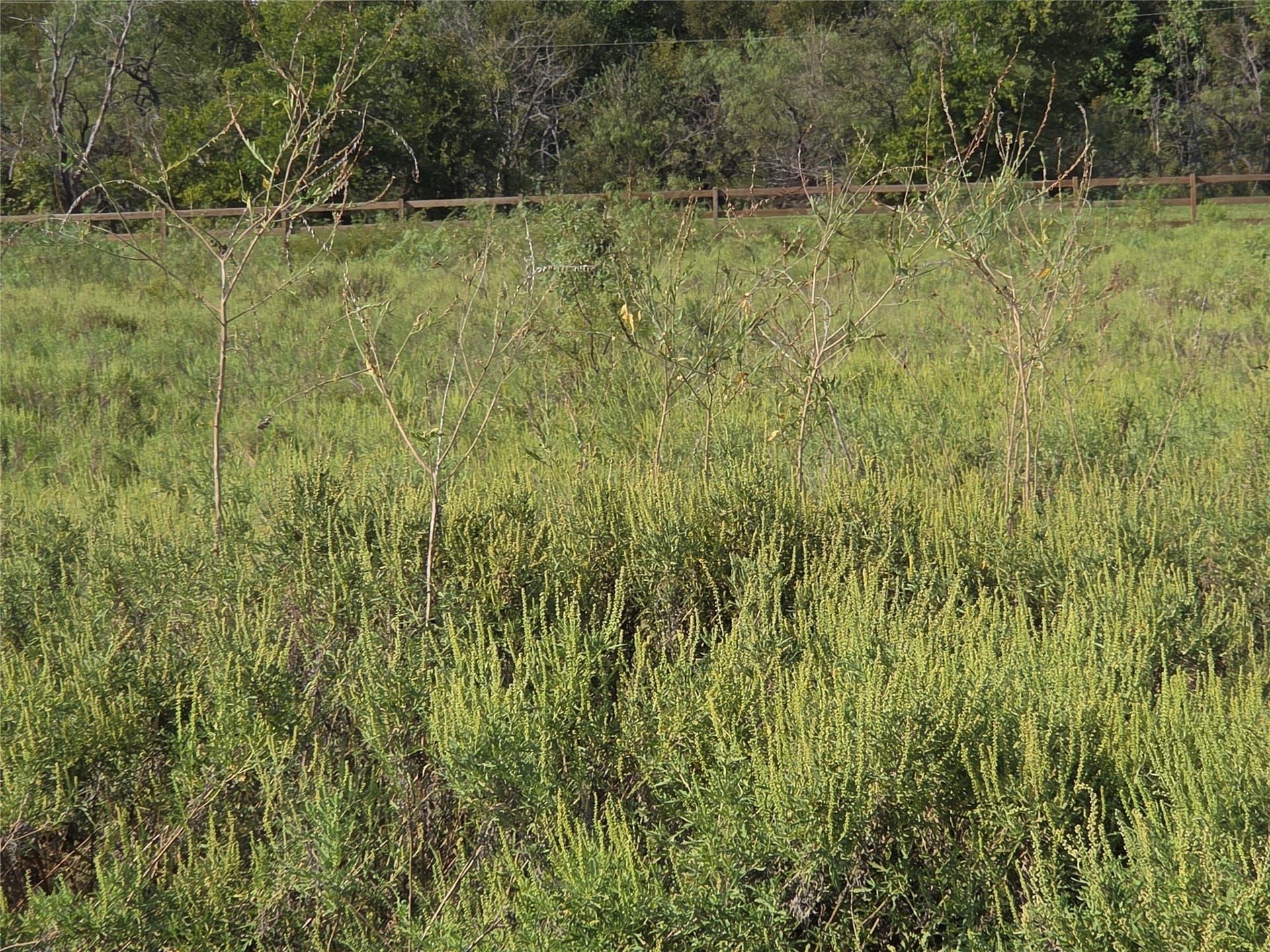 1.22 acres in Navarro County - photo 9