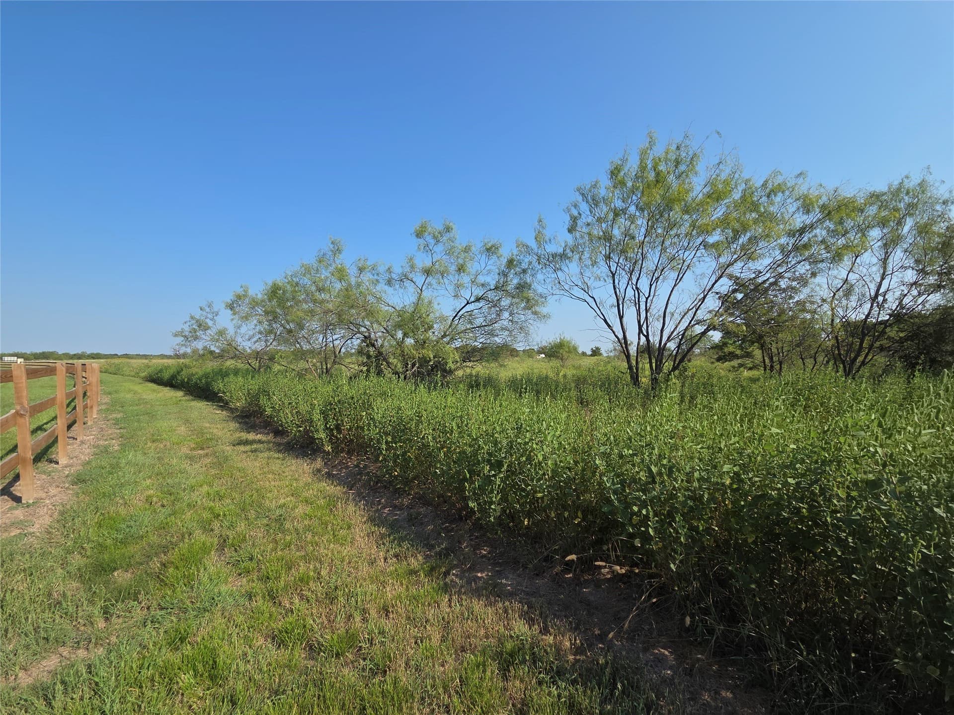 1.22 acres in Navarro County - photo 33