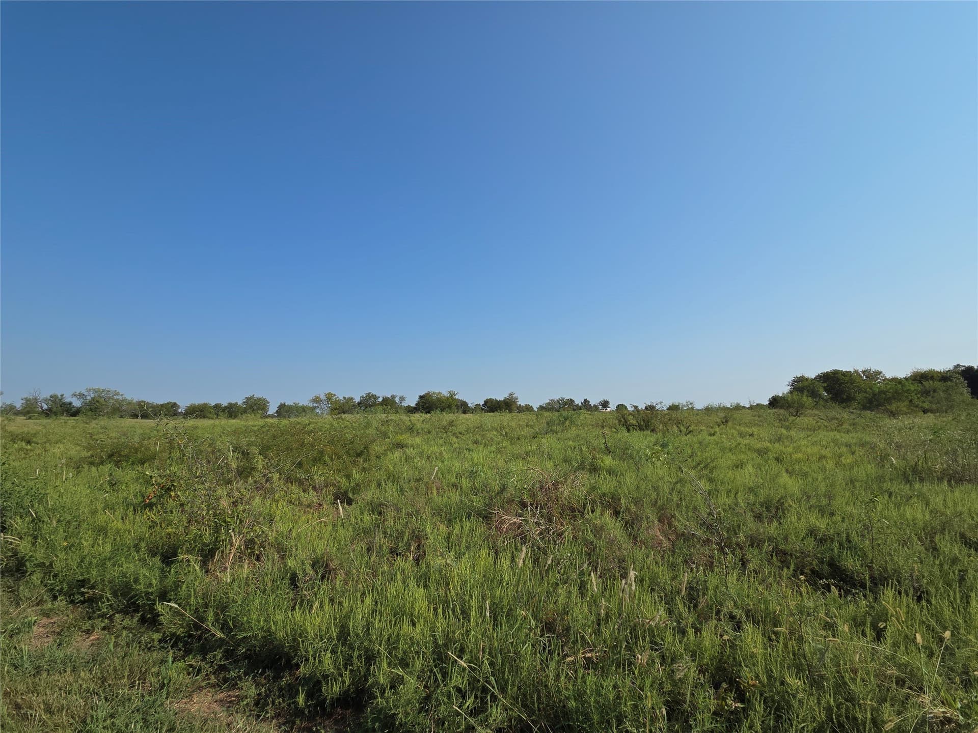 1.22 acres in Navarro County - photo 32