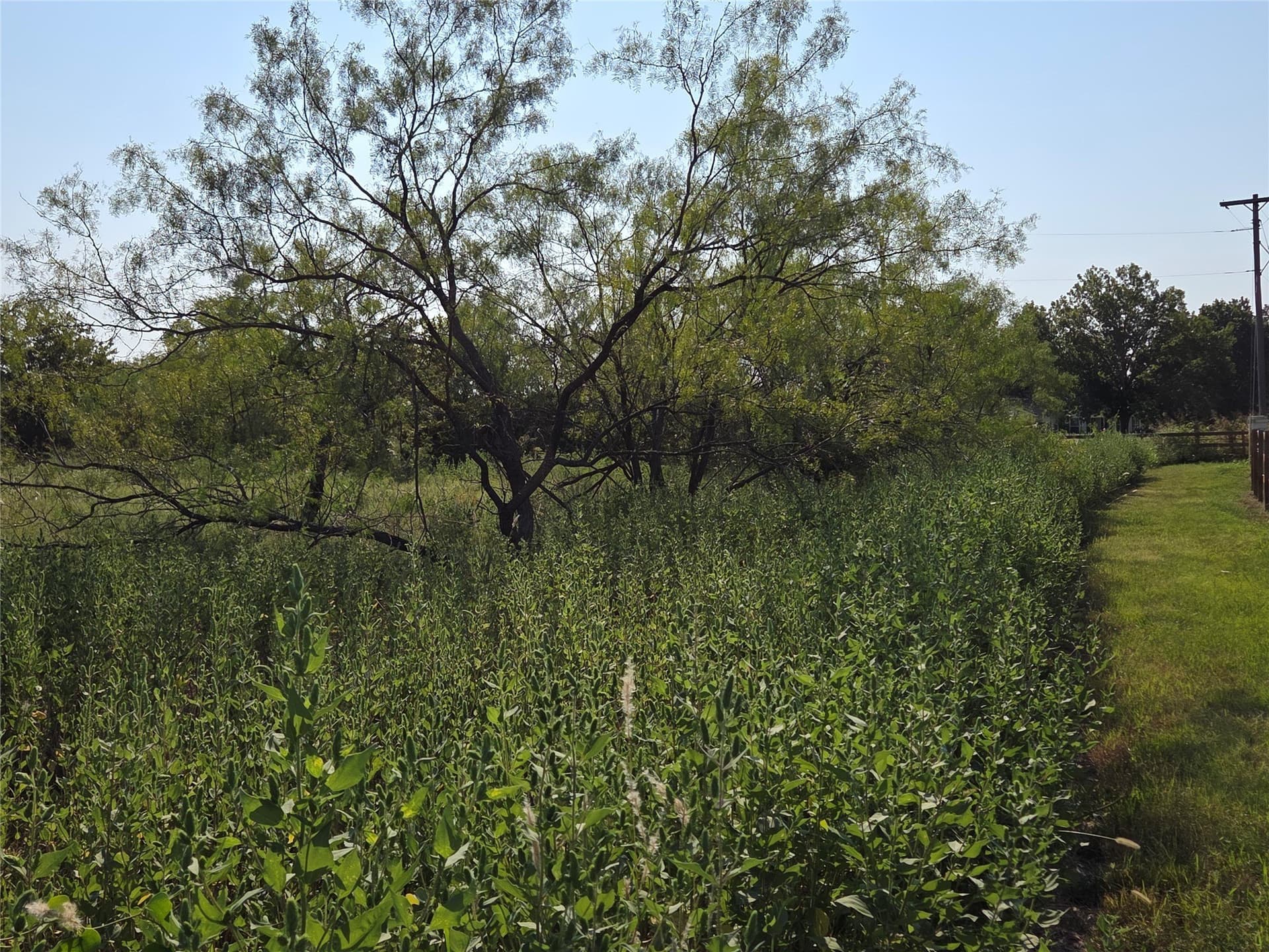 1.22 acres in Navarro County - photo 6