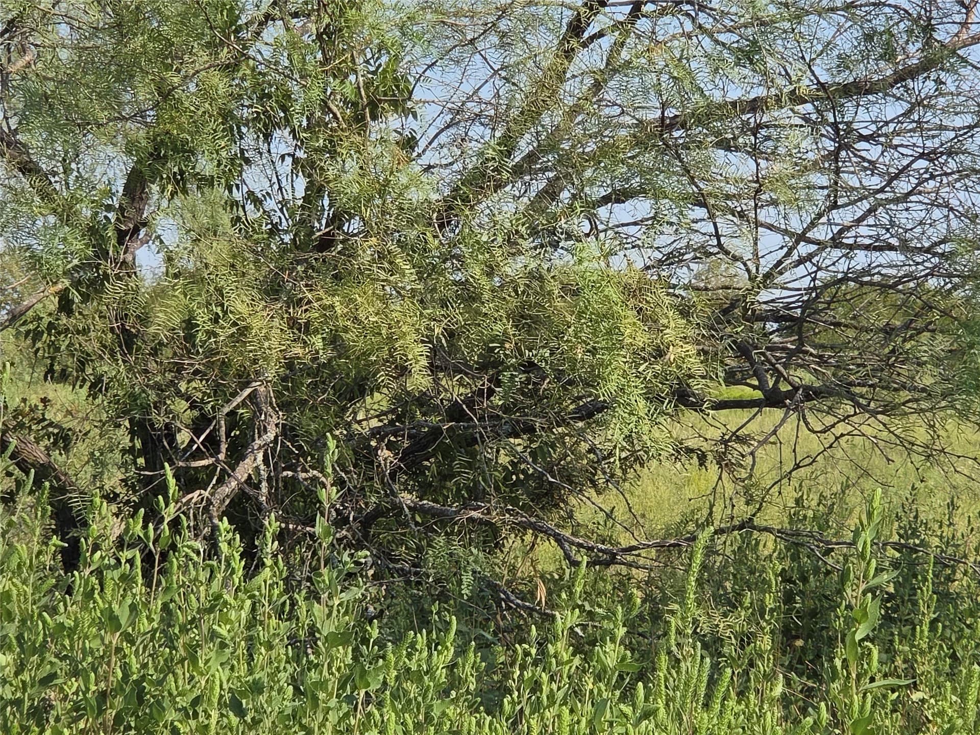 1.22 acres in Navarro County - photo 34