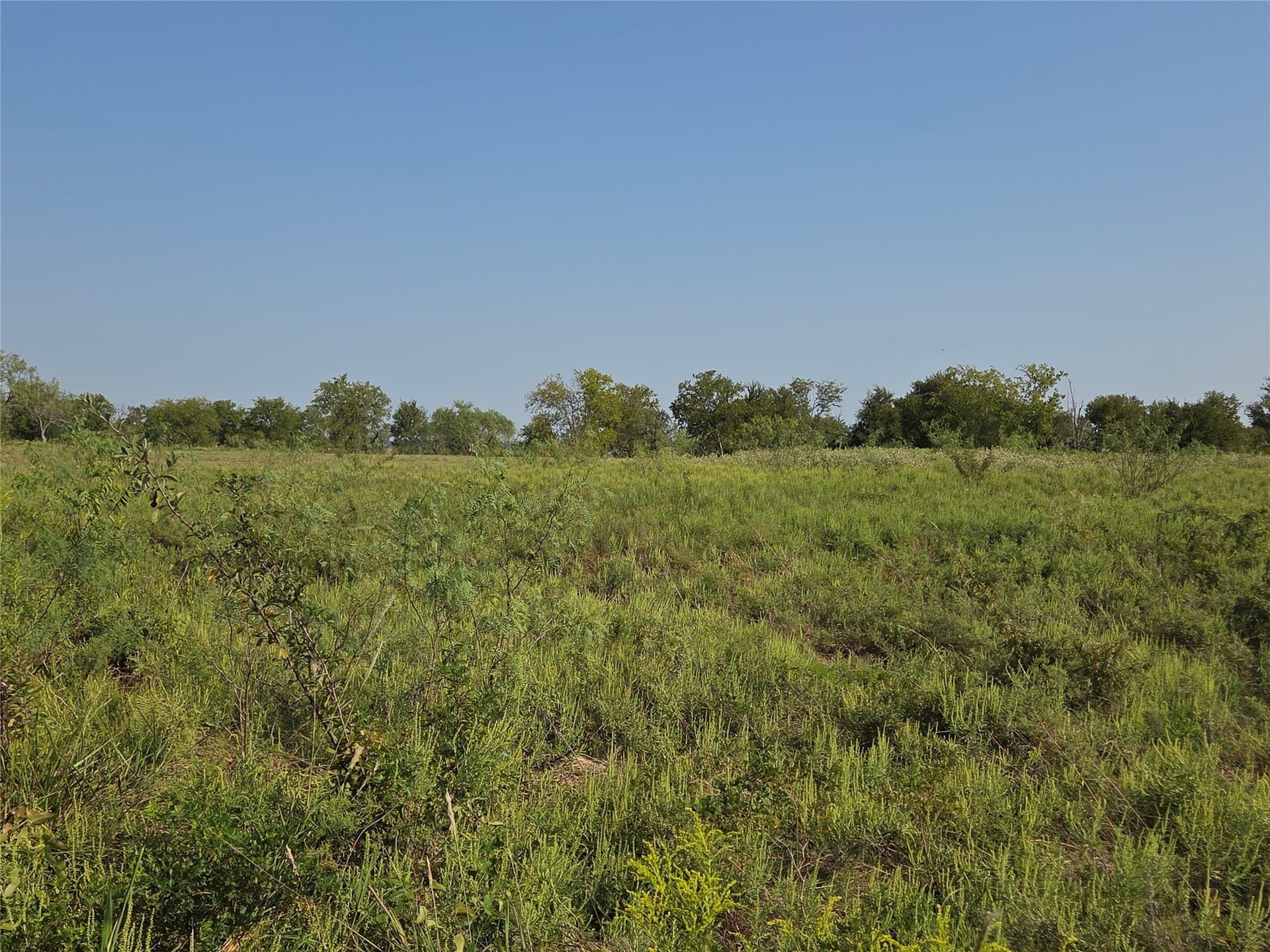 1.22 acres in Navarro County - photo 7