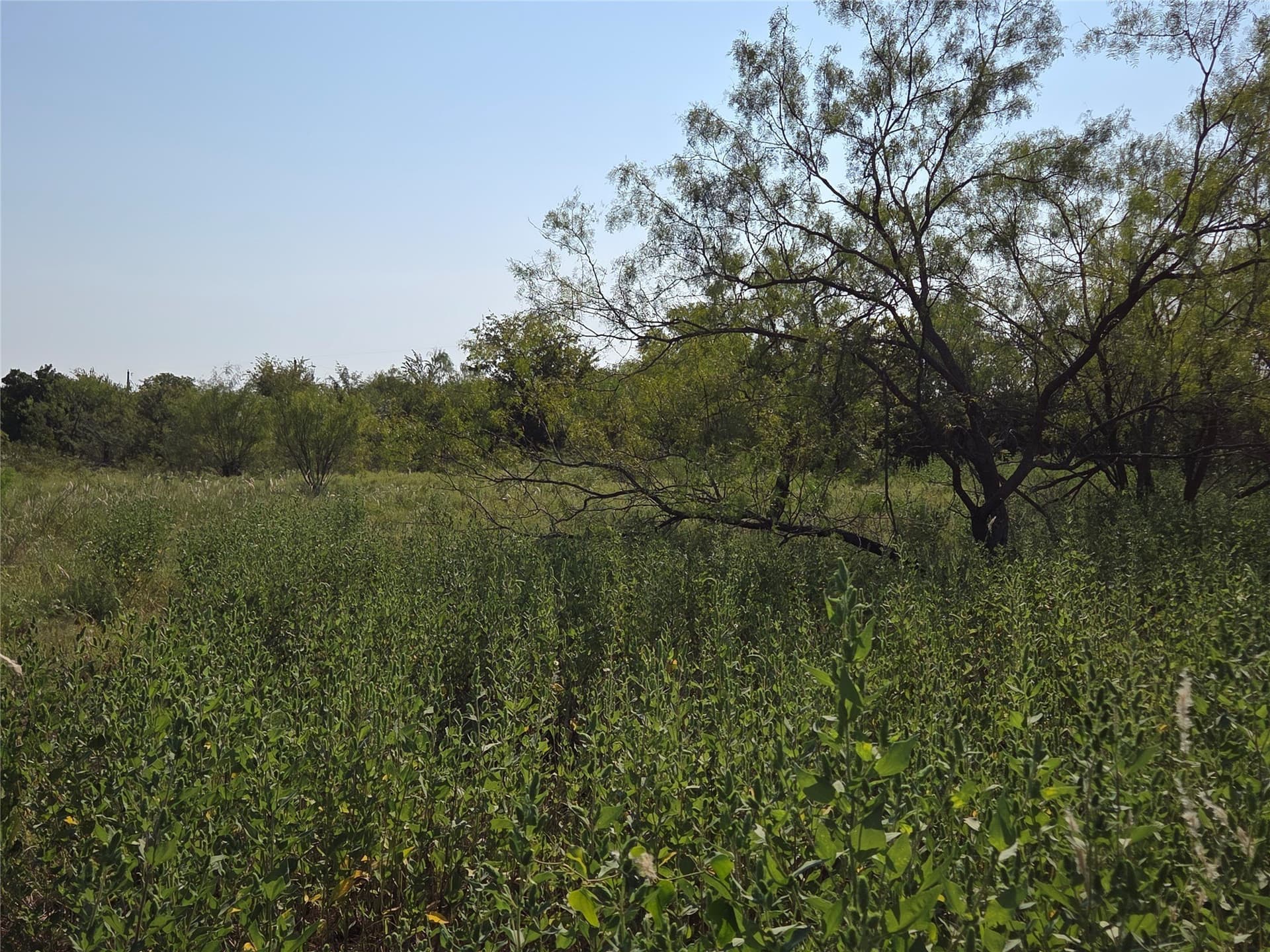 1.22 acres in Navarro County - photo 35